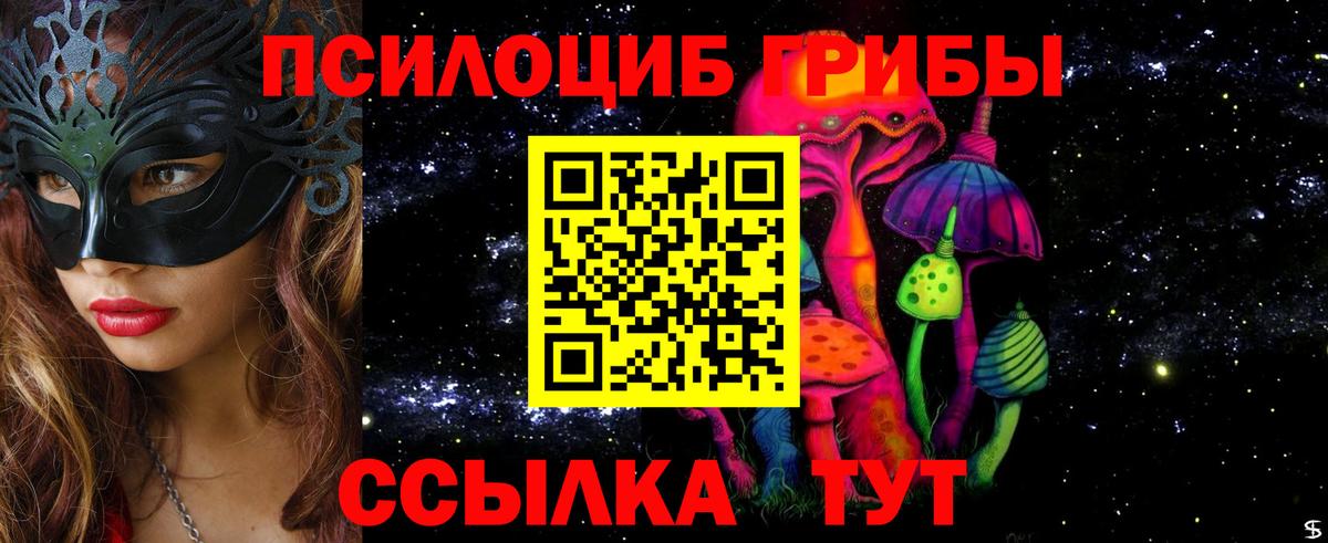 Галлюциногенные грибы ЛСД Каменка